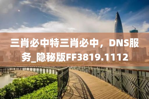 三肖必中特三肖必中，DNS服务_隐秘版FF3819.1112
