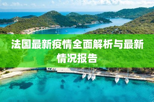 法国最新疫情全面解析与最新情况报告