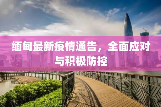 缅甸最新疫情通告，全面应对与积极防控