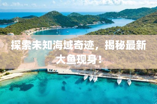 探索未知海域奇迹，揭秘最新大鱼现身！