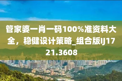 管家婆一肖一码100%准资料大全，稳健设计策略_组合版IJ1721.3608