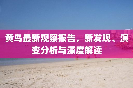 黄鸟最新观察报告，新发现、演变分析与深度解读