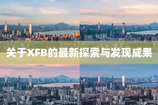 关于XFB的最新探索与发现成果