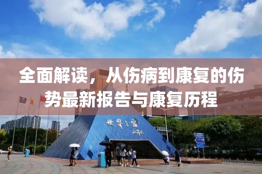 全面解读，从伤病到康复的伤势最新报告与康复历程
