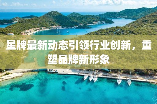 星牌最新动态引领行业创新，重塑品牌新形象