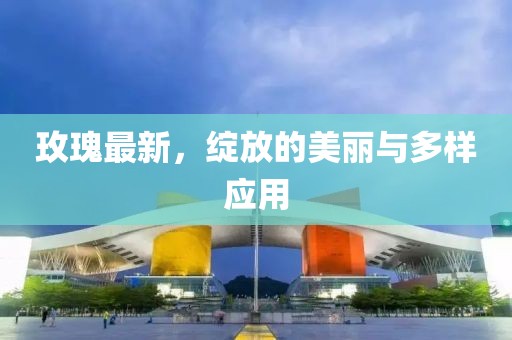 玫瑰最新，绽放的美丽与多样应用