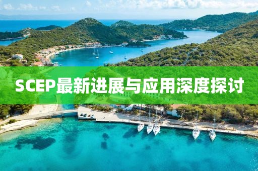 SCEP最新进展与应用深度探讨