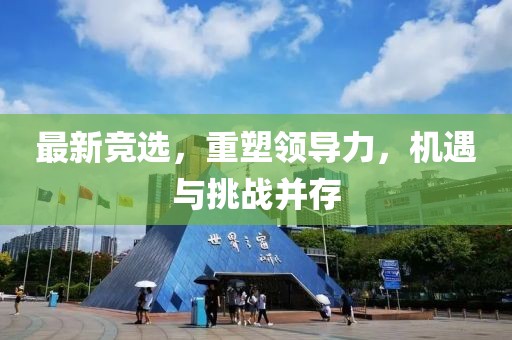 最新竞选，重塑领导力，机遇与挑战并存