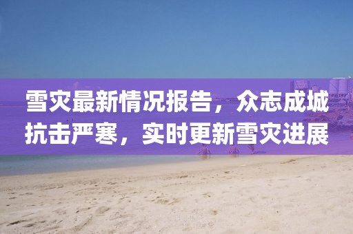 雪灾最新情况报告，众志成城抗击严寒，实时更新雪灾进展