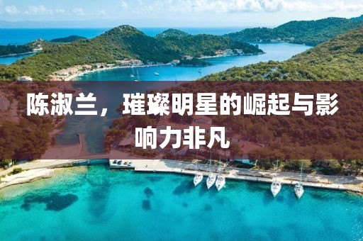 陈淑兰，璀璨明星的崛起与影响力非凡