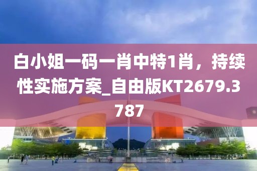 白小姐一码一肖中特1肖，持续性实施方案_自由版KT2679.3787