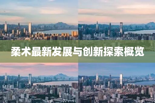 柔术最新发展与创新探索概览