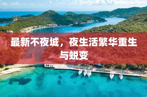 最新不夜城，夜生活繁华重生与蜕变