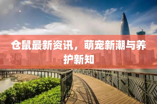 仓鼠最新资讯，萌宠新潮与养护新知