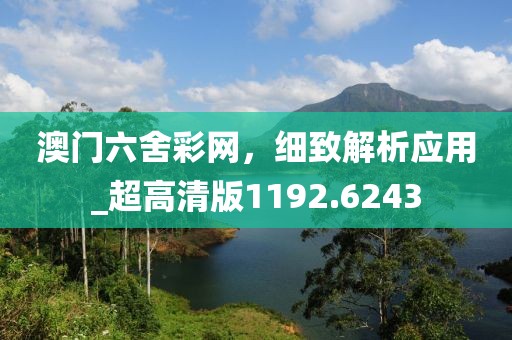 澳门六舍彩网，细致解析应用_超高清版1192.6243