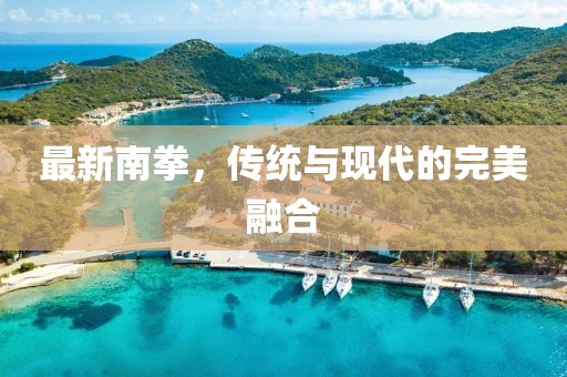 最新南拳，传统与现代的完美融合