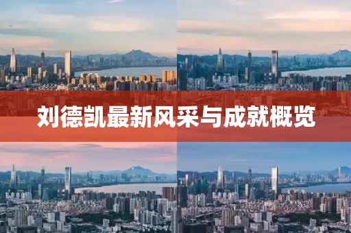 刘德凯最新风采与成就概览