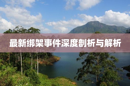 最新绑架事件深度剖析与解析
