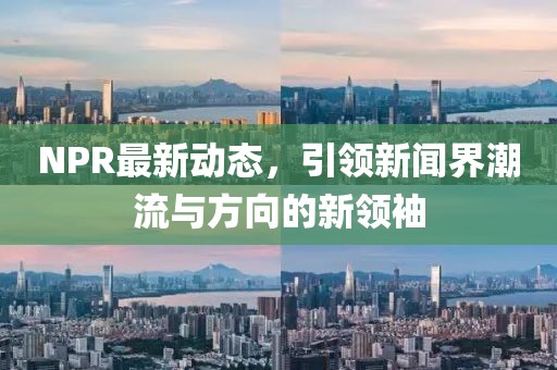 与孤独合葬 第3页