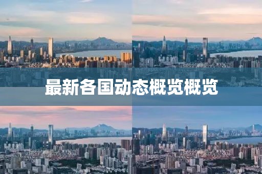 最新各国动态概览概览