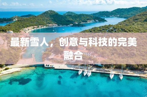 最新雪人，创意与科技的完美融合