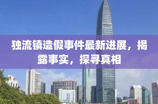 独流镇造假事件最新进展，揭露事实，探寻真相