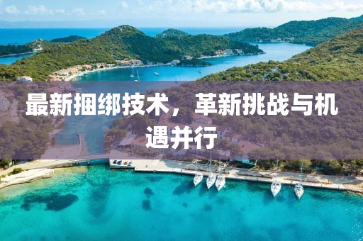 最新捆绑技术，革新挑战与机遇并行