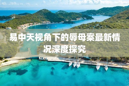 易中天视角下的辱母案最新情况深度探究