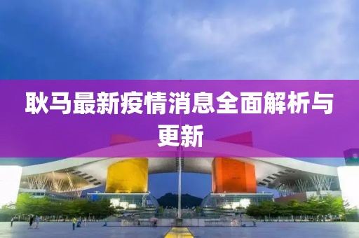 耿马最新疫情消息全面解析与更新