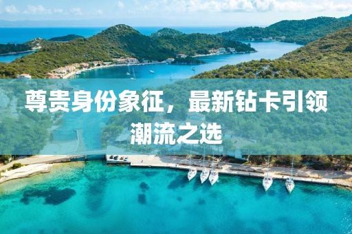 尊贵身份象征，最新钻卡引领潮流之选