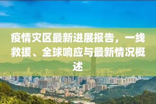 疫情灾区最新进展报告，一线救援、全球响应与最新情况概述
