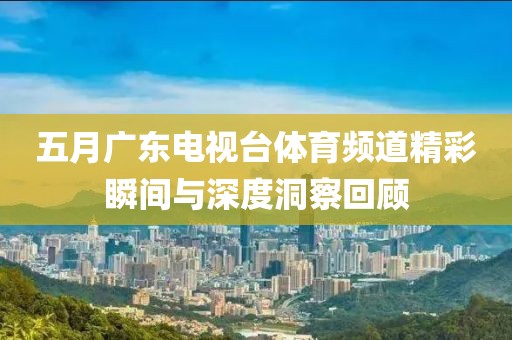 五月广东电视台体育频道精彩瞬间与深度洞察回顾