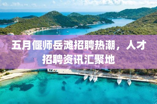 五月偃师岳滩招聘热潮，人才招聘资讯汇聚地