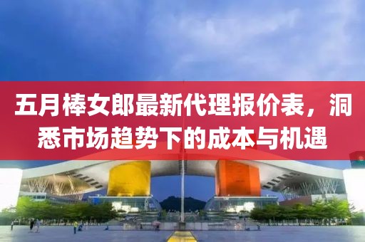 五月棒女郎最新代理报价表，洞悉市场趋势下的成本与机遇