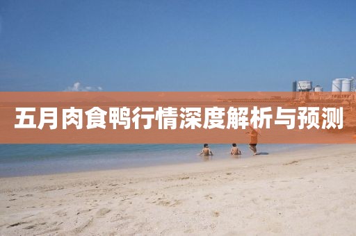 五月肉食鸭行情深度解析与预测