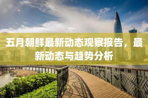 五月朝鲜最新动态观察报告，最新动态与趋势分析
