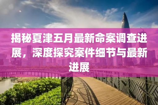 揭秘夏津五月最新命案调查进展，深度探究案件细节与最新进展