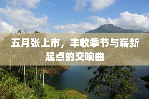 五月张上市，丰收季节与崭新起点的交响曲