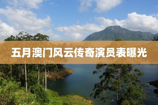 五月澳门风云传奇演员表曝光