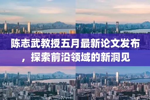 陈志武教授五月最新论文发布，探索前沿领域的新洞见