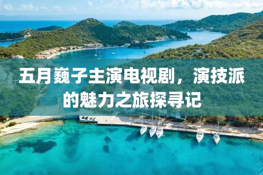 五月巍子主演电视剧，演技派的魅力之旅探寻记