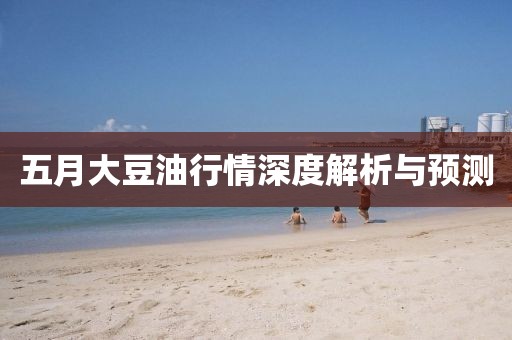 五月大豆油行情深度解析与预测