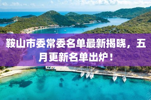 鞍山市委常委名单最新揭晓，五月更新名单出炉！