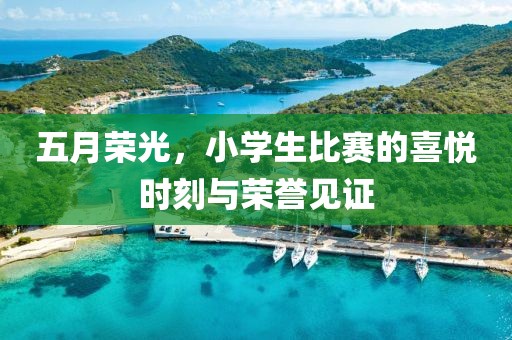 五月荣光，小学生比赛的喜悦时刻与荣誉见证