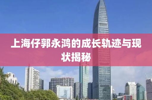 孤单的城 第34页