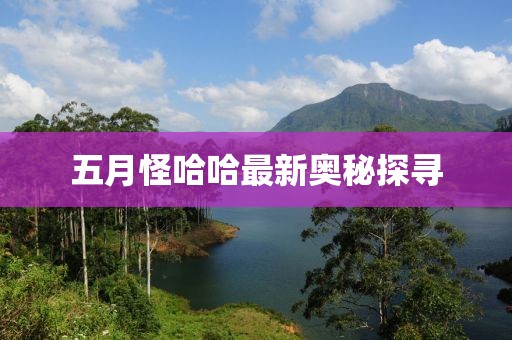 五月怪哈哈最新奥秘探寻