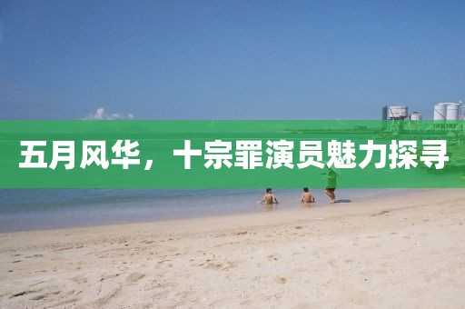 五月风华，十宗罪演员魅力探寻
