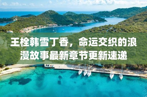 王栓韩雪丁香，命运交织的浪漫故事最新章节更新速递