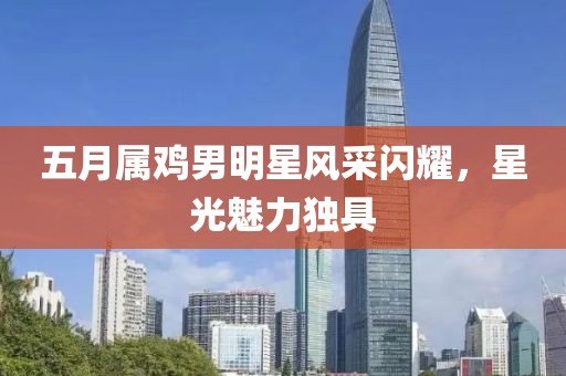 五月属鸡男明星风采闪耀，星光魅力独具