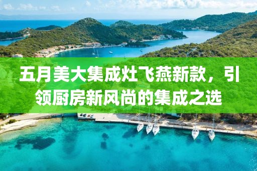 五月美大集成灶飞燕新款，引领厨房新风尚的集成之选